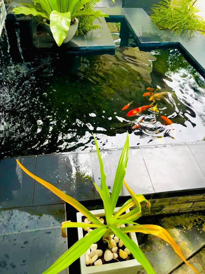 Travellers Halt Hotel Ratnapura Exterior foto